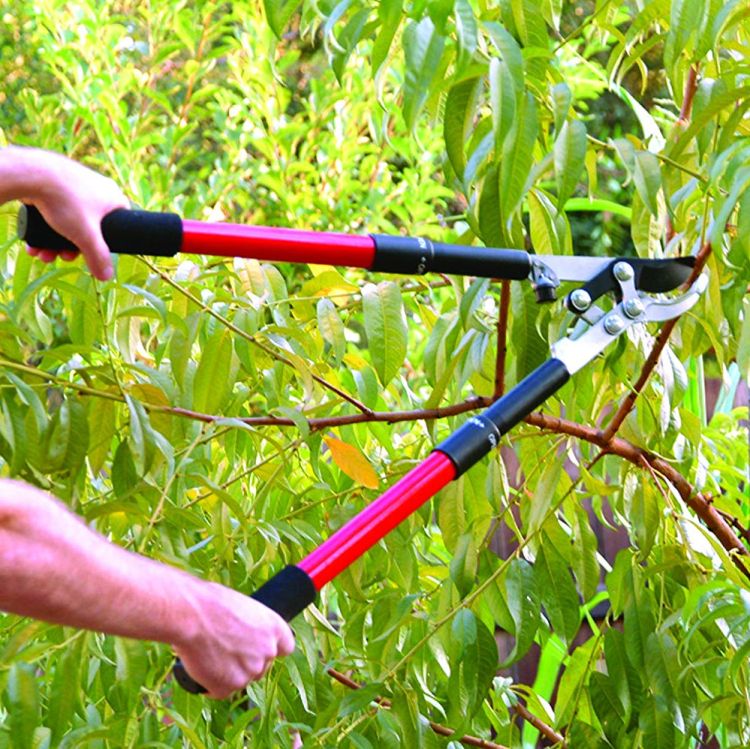 Corona Clipper Extendable Compound Action Bypass Lopper