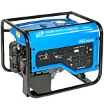 Tsurumi 4500 Watt Industrial Generator