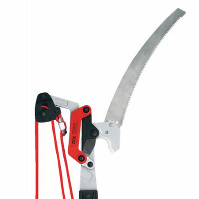 Duallink tree saw and 2025 pruner