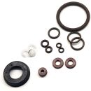 Swissmex Oil Base Solvent Pump Sprayer Complete Seal Kit