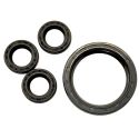 General Wire JM-1450 Sewer Jetter Pump Oil Seal Kit